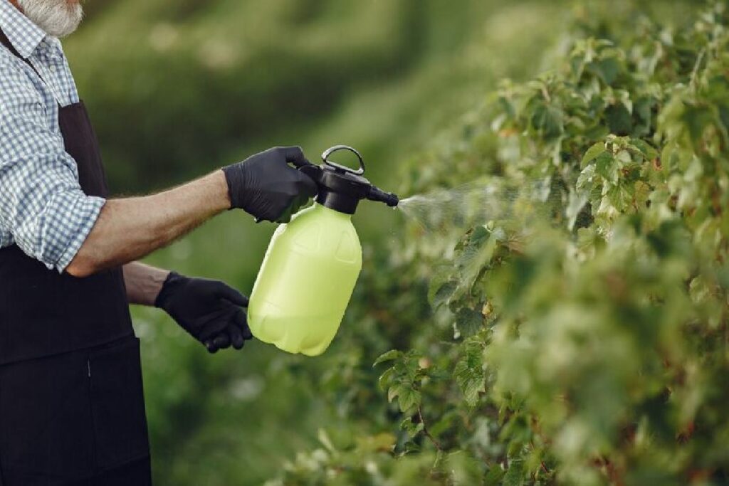 Is Paraquat Banned in the US? Here is the Answer